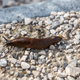 Illustration for article titled 5 Slugs That, In Retrospect, We Sort Of Whipped Ourselves Into A Frenzy Over